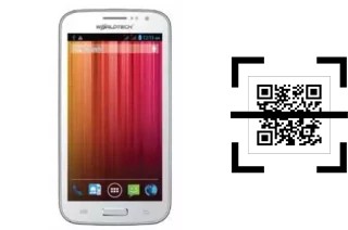 How to read QR codes on a Worldtech WT-P500?