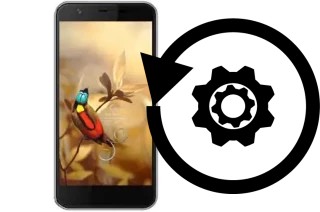 How to reset or restore an AccessGo Gotune 3