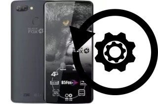 How to reset or restore a Black Fox B5