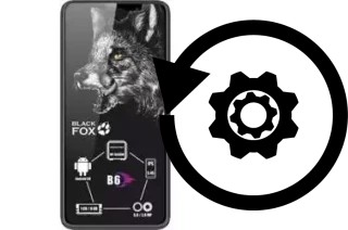 How to reset or restore a Black Fox B6