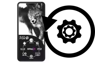 How to reset or restore a Black Fox B7