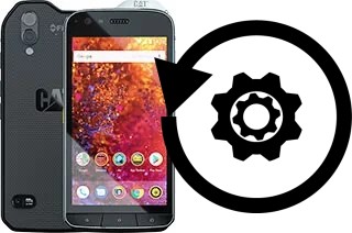 How to reset or restore a Cat S61