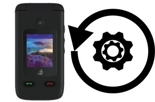 How to reset or restore a Cloud Mobile Mist