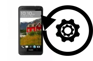 How to reset or restore a Cubit Zion