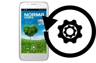 How to reset or restore a KENEKSI Norma