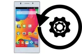 How to reset or restore a NEX Mingalaba 2