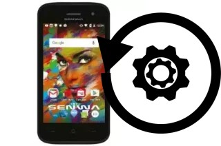 How to reset or restore a Senwa S471