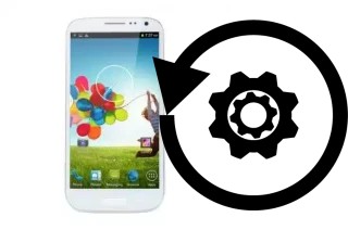 How to reset or restore a Star N9202