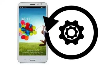 How to reset or restore a Star N9600