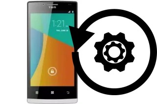 How to reset or restore a TSM T937