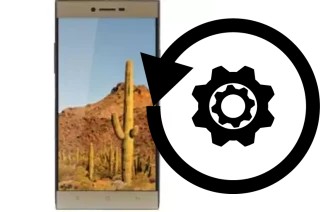 How to reset or restore a VC Cactus