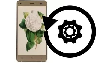 How to reset or restore a VC Camellia II