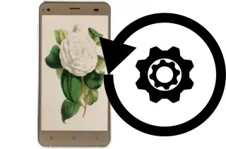 How to reset or restore a VC Camellia