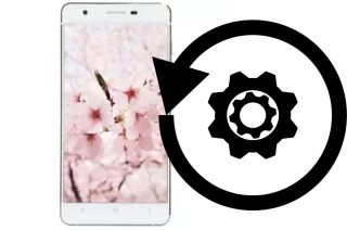 How to reset or restore a VC Sakura