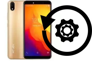 How to reset or restore a Xgody P20