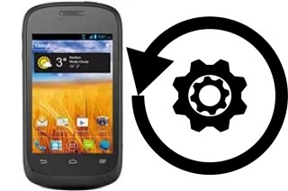 How to reset or restore a ZTE Director