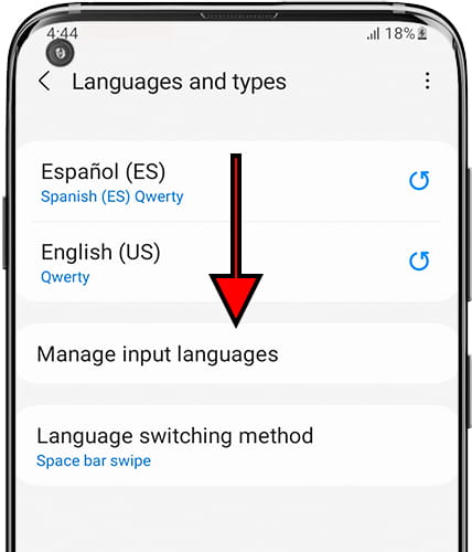 Manage input languages Samsung