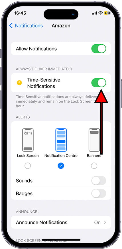 Time-Sensitive Notifications iOS