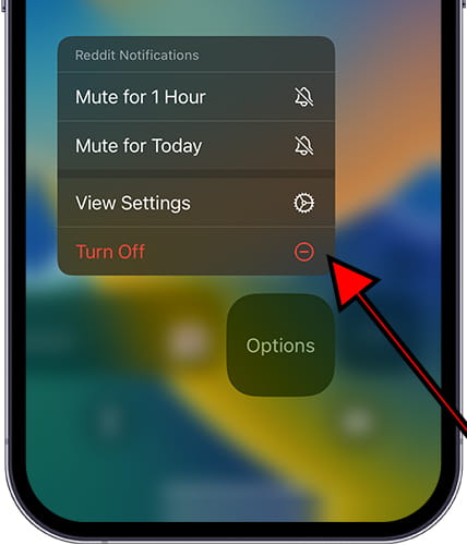 Disable iOS notification