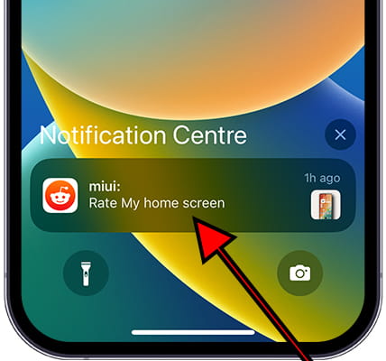 iOS Notification