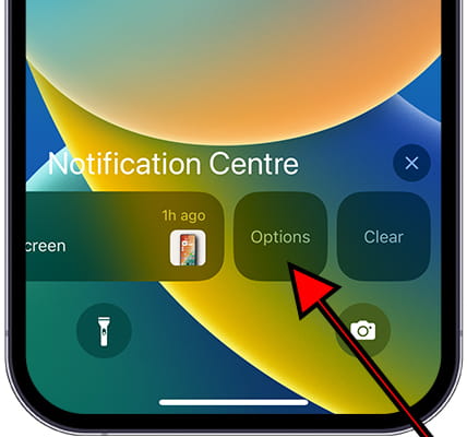 iOS notification options