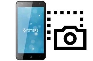 Screenshot in Oysters Pacific V