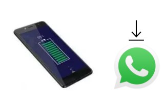 How to install WhatsApp in a 10.or D