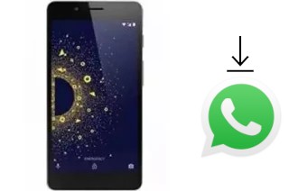 How to install WhatsApp in a 10.or D2