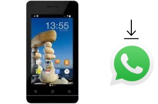 How to install WhatsApp in an Accent Cameleon A1