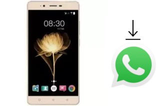 How to install WhatsApp in an Accent Speed X2