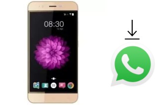 How to install WhatsApp in an Accent Speed Y2