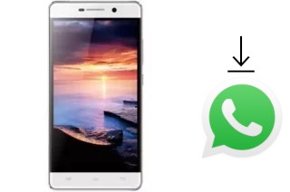 How to install WhatsApp in an AccessGo Gotune 3I