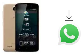 How to install WhatsApp in an Allview P6 Plus