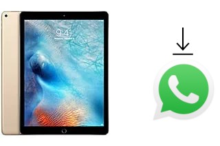 How to install WhatsApp in an Apple iPad Pro