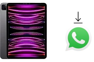 How to install WhatsApp in an Apple iPad Pro 11 (2022)