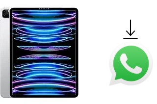 How to install WhatsApp in an Apple iPad Pro 12.9 (2022)