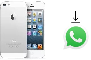 How to install WhatsApp in an Apple iPhone 5