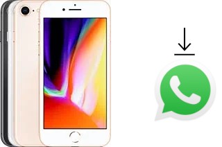 How to install WhatsApp in an Apple iPhone 8