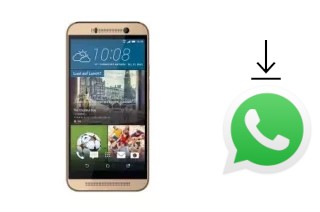 How to install WhatsApp in an Attila M8