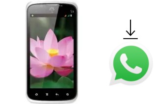 How to install WhatsApp in an Avio Sen S3