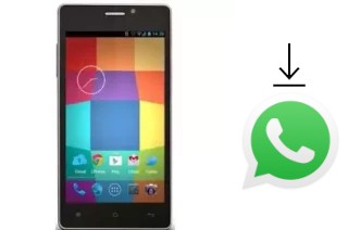 How to install WhatsApp in a Beex Flare