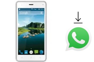 How to install WhatsApp in a Bitel B8601