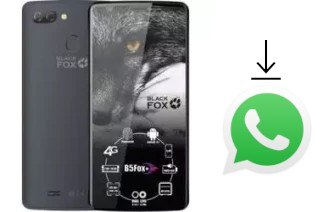 How to install WhatsApp in a Black Fox B5