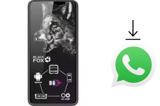 How to install WhatsApp in a Black Fox B6