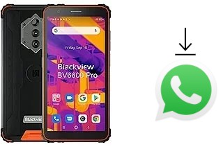 How to install WhatsApp in a Blackview BV6600 Pro