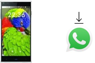 How to install WhatsApp in a Blackview DM550