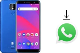 How to install WhatsApp in a BLU J6