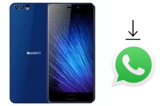 How to install WhatsApp in a Bluboo D2 Pro