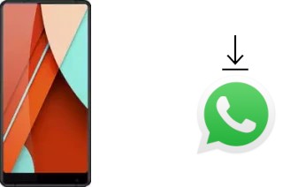 How to install WhatsApp in a Bluboo D5 Pro