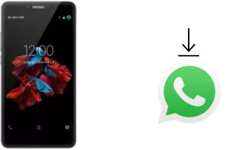 How to install WhatsApp in a Bluboo Dual